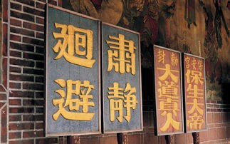 高端墙面艺术涂装品牌，打造品质生活新风尚