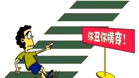 全面的交通安全指南：从驾驶到步行安全全覆盖-有驾
