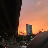 小斑的长毛毛