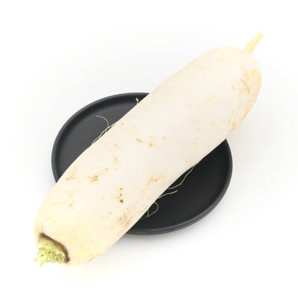 白萝卜
