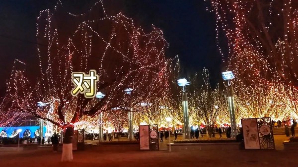 一岁一礼，一寸欢喜，大家元宵节快乐呀