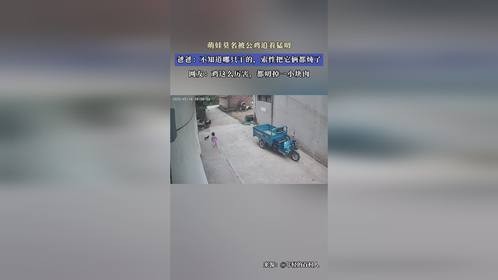 萌娃莫名被公鸡追着猛叨，爸爸：不知道哪只干的，索性把它俩都炖了 网友：鸡这么厉害，都叨掉一小块肉
