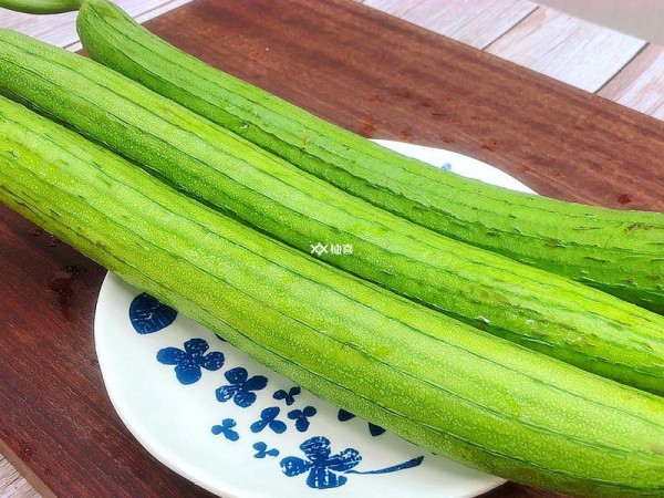 丝瓜