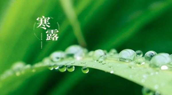 生活寒露节气养生吃什么菜肴 1