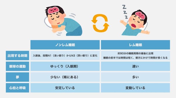 ノンレム睡眠とレム睡眠の違い