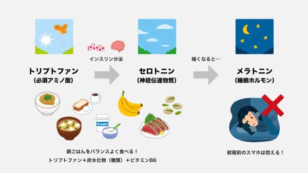睡眠に役立つ栄養素の画像