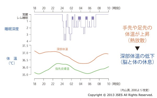 眠るにつれて体温が下がる