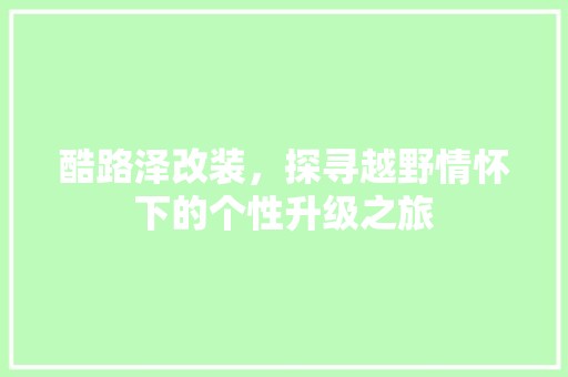酷路泽改装，探寻越野情怀下的个性升级之旅 卧室装修