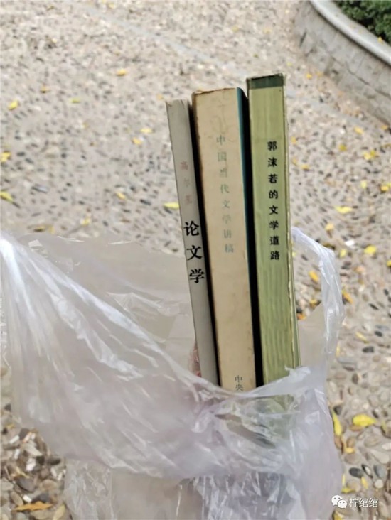 在天津探访老城区里的二手书店-图片6
