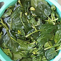菠菜拌饭（这款菠菜的做法简单，零失败。）的做法图解2