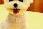 你是我的那缕光i