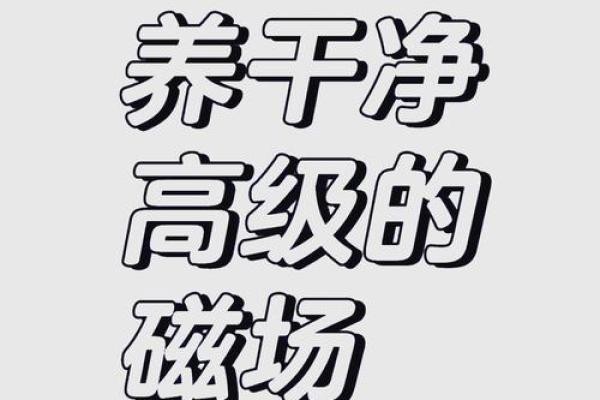 阴阳调和，家居风水秘籍，打造幸福生活磁场