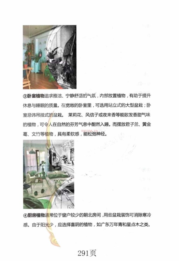 《玄青开运风水秘籍》480页，电子书pdf！！中药化解，开运风水