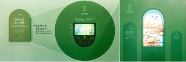 湿地生态系统,循环经济