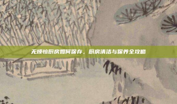 无烦恼厨房如何保存,厨房清洁与保养全攻略