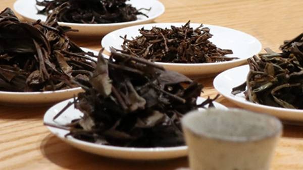 用茶叶漱口可以保护牙齿吗