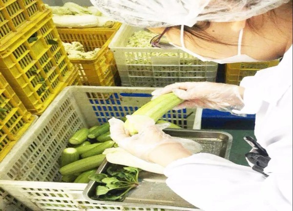 静待春来 健康每餐(图2)