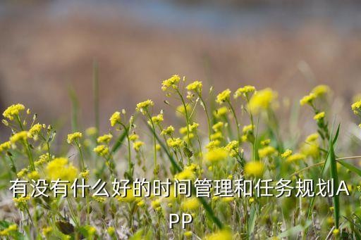 有没有什么好的时间管理和任务规划APP
