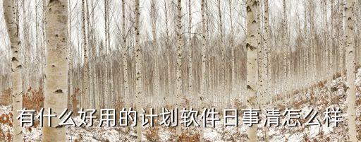 有什么好用的计划软件日事清怎么样