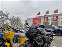 2017年一手趴赛出售1200元