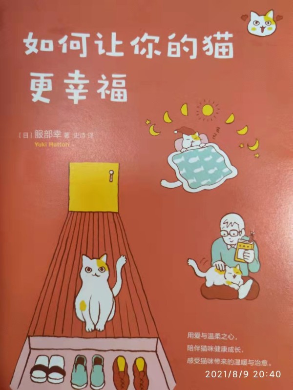 如何让你的猫更幸福