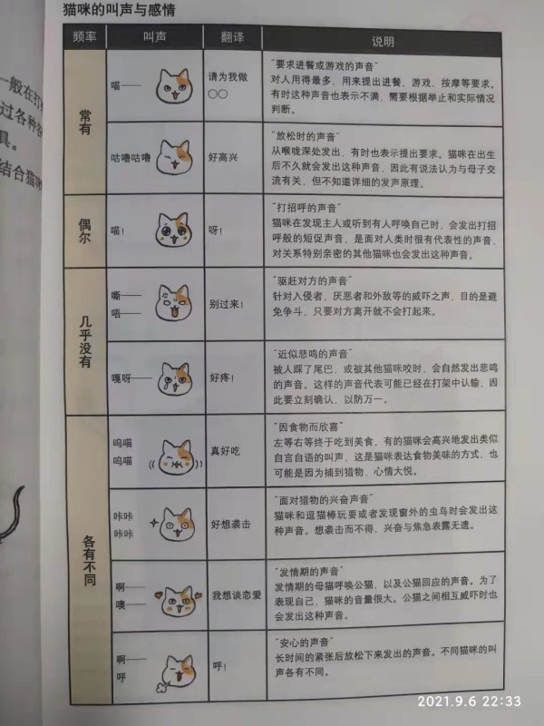 猫咪的叫声和情感