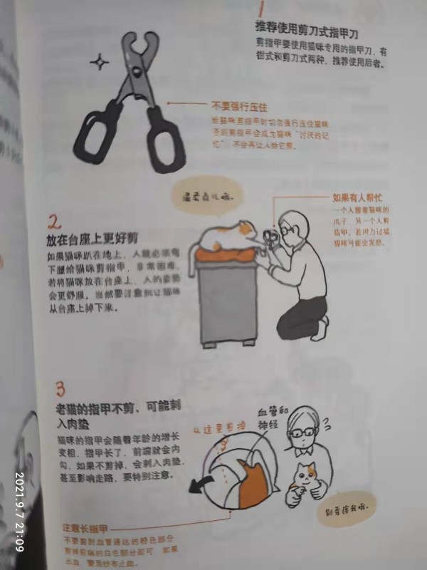 每个月需要剪指甲