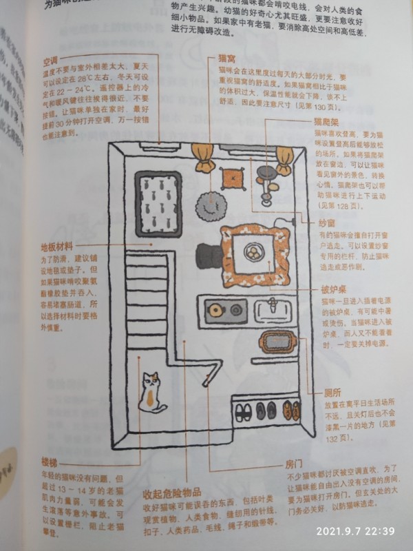 猫咪的居住环境