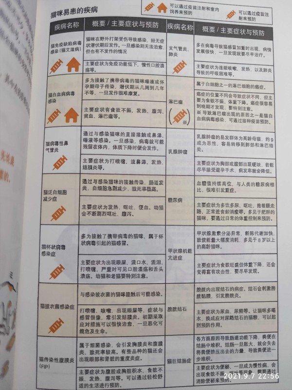 猫咪易换的毛病