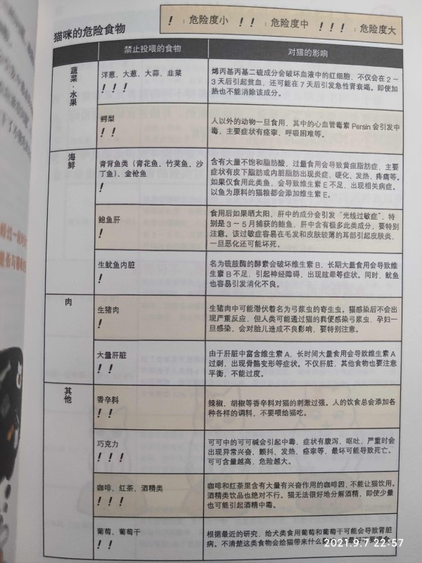 猫咪危险的食物