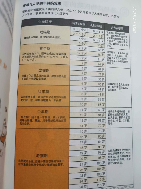 猫咪的年龄和人类年龄换算表