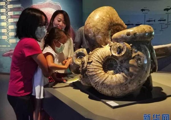 特别的暑假生活｜探索自然奥秘过暑假「图集」
