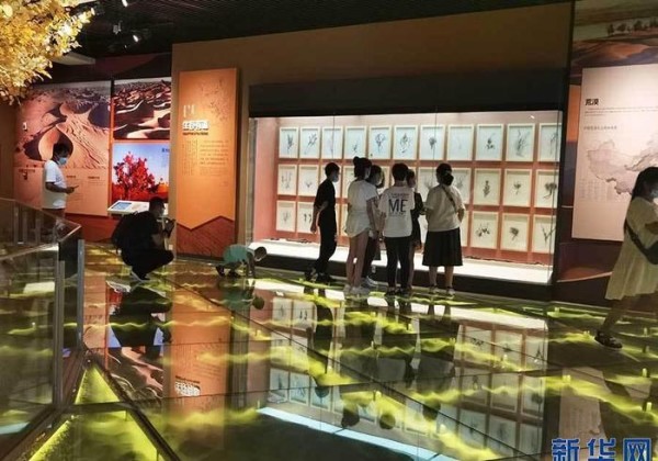 特别的暑假生活｜探索自然奥秘过暑假「图集」