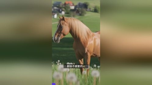 一个可以帮你删除任何不需要物体的网站
