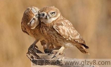 生活平衡态，幸福感自来
