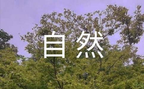 关于回归自然的作文十篇