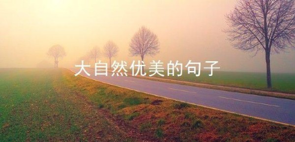 关于回归自然的唯美句子（回归自然——美丽的自然风光）