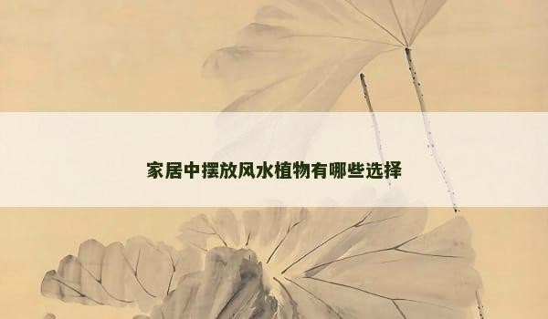 家居中摆放风水植物有哪些选择