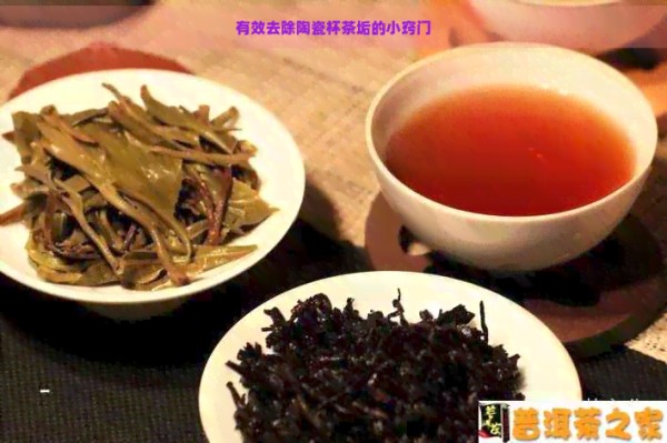 有效去除陶瓷杯茶垢的小窍门