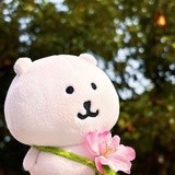 已注销