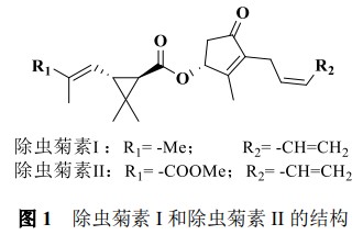 QQ截图20240521105730.png