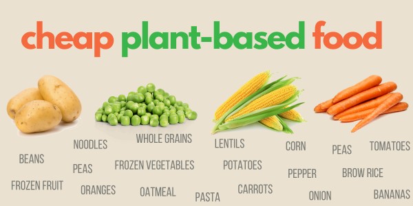 Vegan Cooking and Meal Planning: Nutritious Recipes, Protein-Packed Meals, and Budget-Friendly Tips for Plant-Based Living May 2025