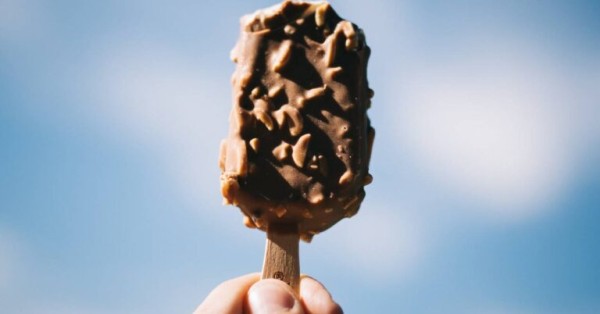 magnum saludable