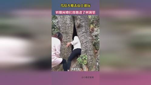 几位大姐去山上游玩，转眼间她们却跑进了树洞里