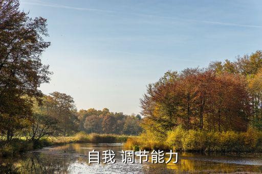 自我 调节能力