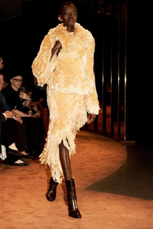 schiaparelli