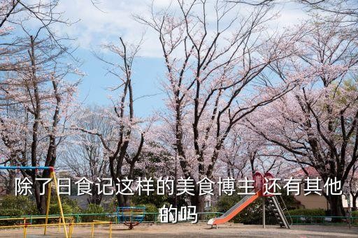 除了日食记这样的美食博主 还有其他的吗