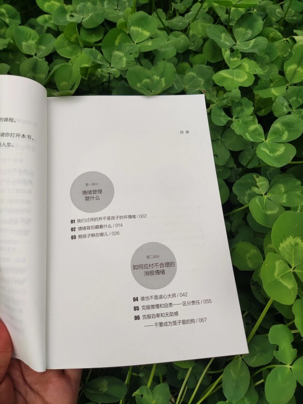怎样培养孩子的乐观向上方法（培养积极情绪的3个步骤）