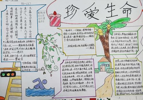珍爱生命手抄报优秀作品