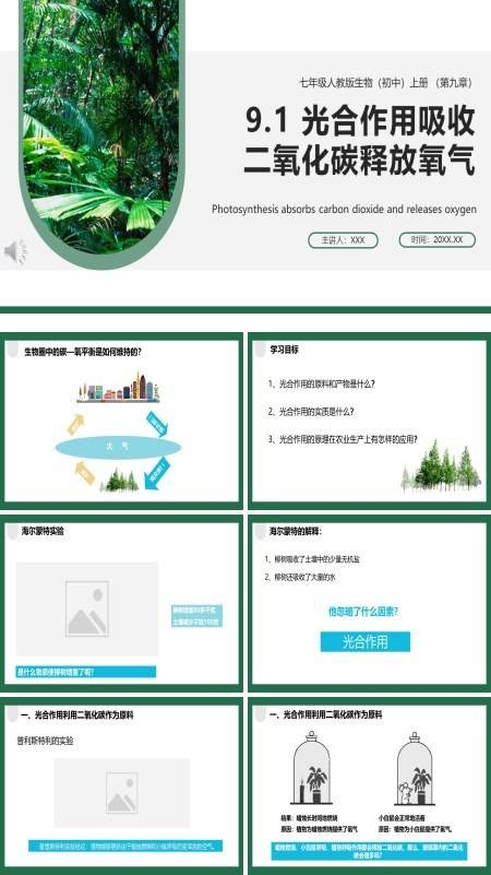 光合作用吸收二氧化碳释放氧气课件PPT